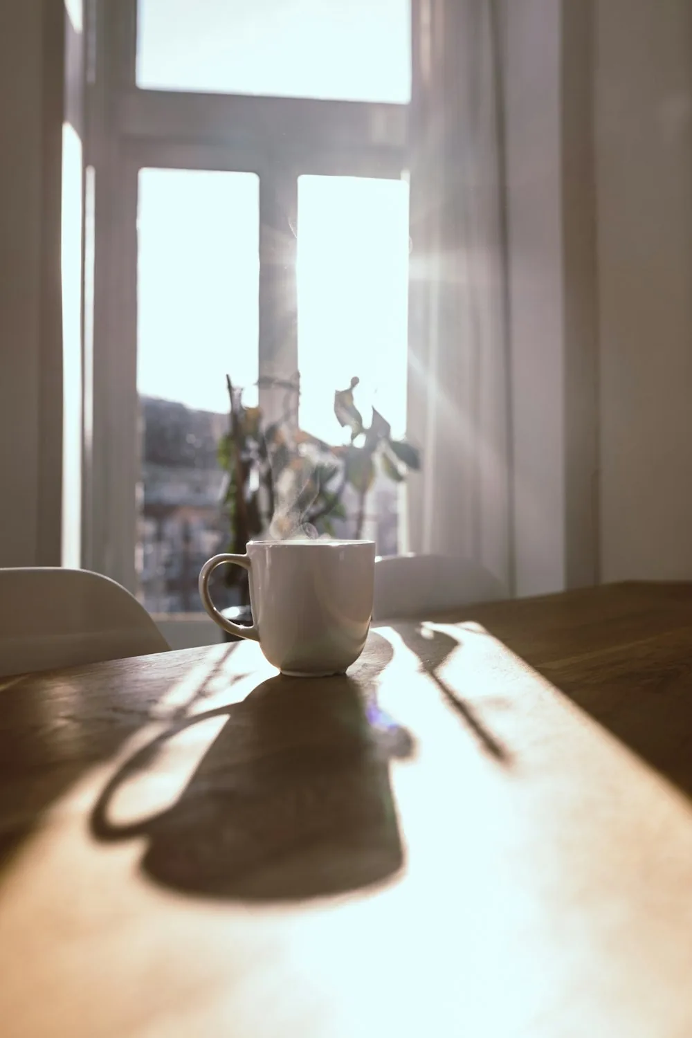 Morning light across a kitchen table with a warm cup of coffee