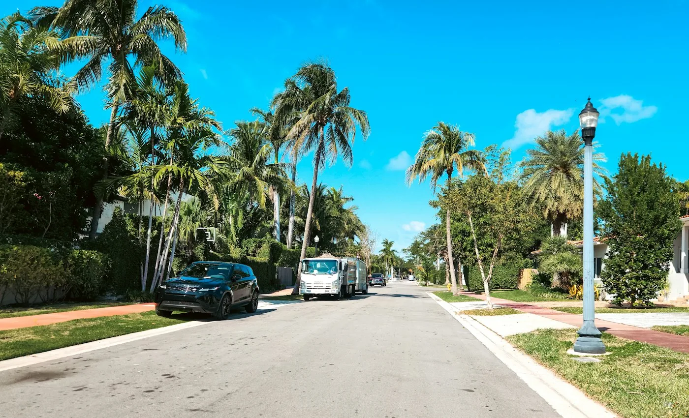 A quiet Miami residential street lined with palm trees
